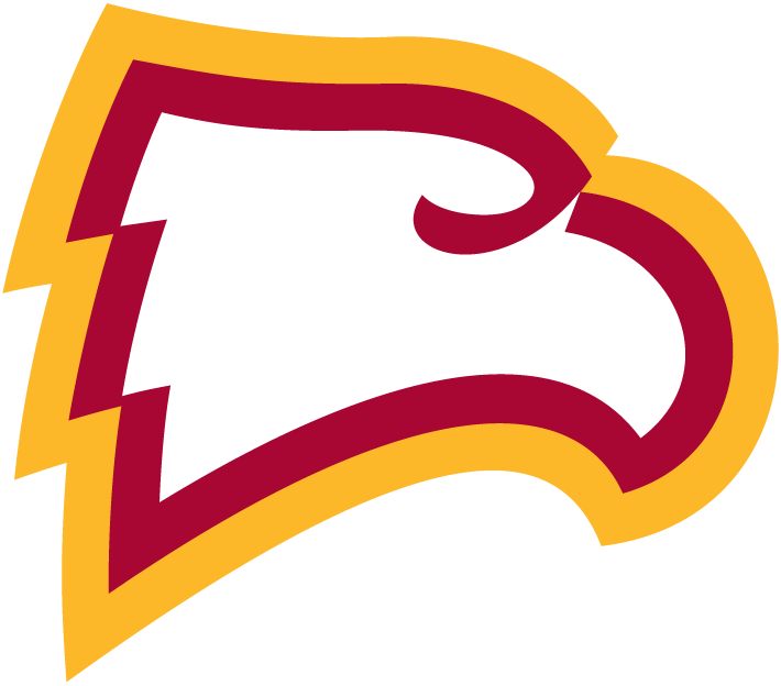 Winthrop Eagles 1995-Pres Primary Logo iron on transfers for clothing